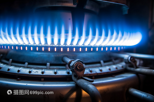 燃?xì)馊紵鞲拍顖D